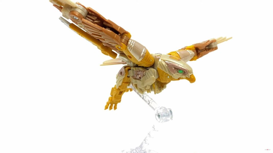 Image Of Rise Of The Beasts Studio Series Airazor Toy  (49 of 55)